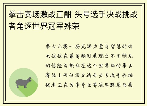 拳击赛场激战正酣 头号选手决战挑战者角逐世界冠军殊荣