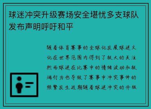 球迷冲突升级赛场安全堪忧多支球队发布声明呼吁和平