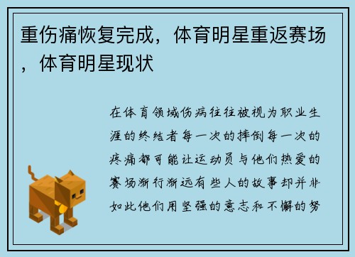 重伤痛恢复完成,体育明星重返赛场,体育明星现状